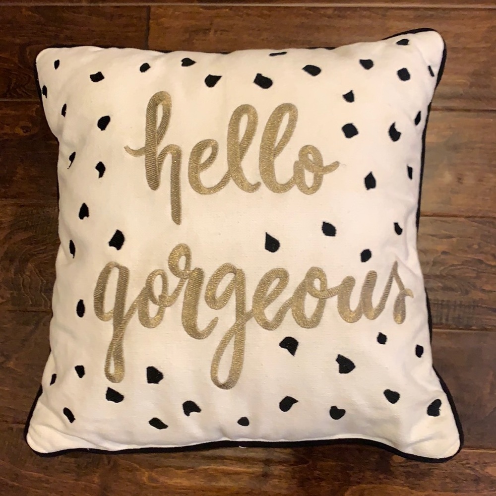 Hello gorgeous 17” square accent pillow